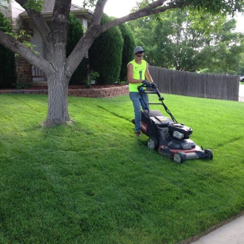 Lawn Service-Sugar Land TX Landscape Designs & Outdoor Living Areas-We offer Landscape Design, Outdoor Patios & Pergolas, Outdoor Living Spaces, Stonescapes, Residential & Commercial Landscaping, Irrigation Installation & Repairs, Drainage Systems, Landscape Lighting, Outdoor Living Spaces, Tree Service, Lawn Service, and more.