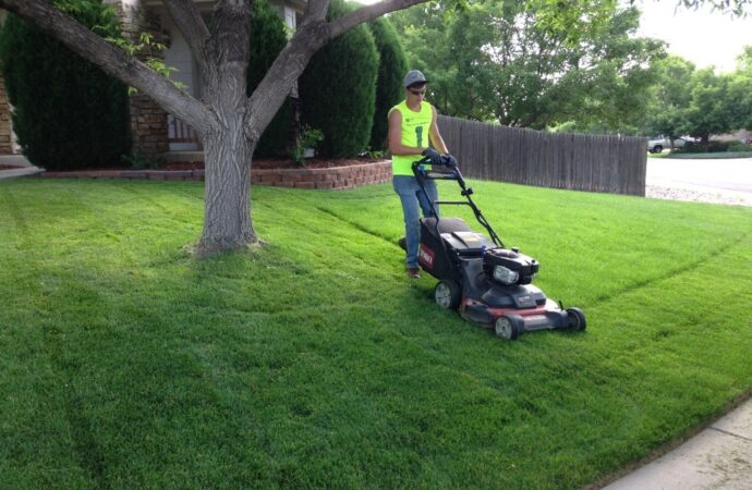 Lawn Service-Sugar Land TX Landscape Designs & Outdoor Living Areas-We offer Landscape Design, Outdoor Patios & Pergolas, Outdoor Living Spaces, Stonescapes, Residential & Commercial Landscaping, Irrigation Installation & Repairs, Drainage Systems, Landscape Lighting, Outdoor Living Spaces, Tree Service, Lawn Service, and more.