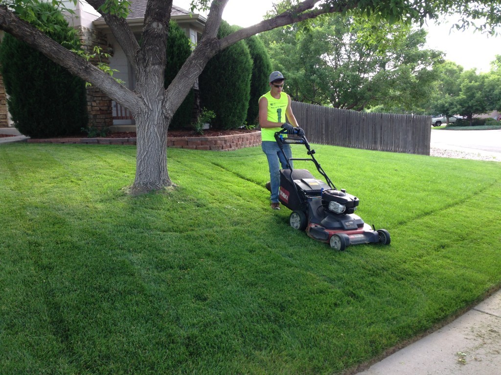 Lawn Service-Sugar Land TX Landscape Designs & Outdoor Living Areas-We offer Landscape Design, Outdoor Patios & Pergolas, Outdoor Living Spaces, Stonescapes, Residential & Commercial Landscaping, Irrigation Installation & Repairs, Drainage Systems, Landscape Lighting, Outdoor Living Spaces, Tree Service, Lawn Service, and more.