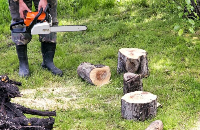 Tree Service-Sugar Land TX Landscape Designs & Outdoor Living Areas-We offer Landscape Design, Outdoor Patios & Pergolas, Outdoor Living Spaces, Stonescapes, Residential & Commercial Landscaping, Irrigation Installation & Repairs, Drainage Systems, Landscape Lighting, Outdoor Living Spaces, Tree Service, Lawn Service, and more. Tree Service-Sugar Land TX Landscape Designs & Outdoor Living Areas-We offer Landscape Design, Outdoor Patios & Pergolas, Outdoor Living Spaces, Stonescapes, Residential & Commercial Landscaping, Irrigation Installation & Repairs, Drainage Systems, Landscape Lighting, Outdoor Living Spaces, Tree Service, Lawn Service, and more.
