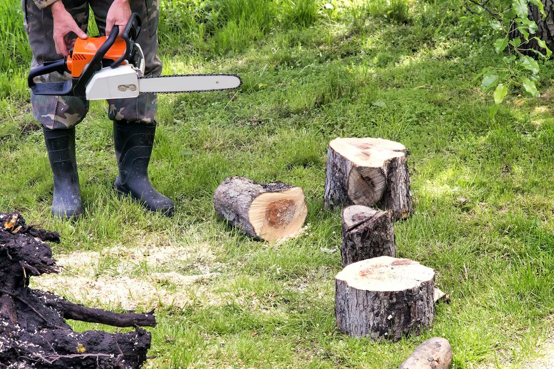 Tree Service-Sugar Land TX Landscape Designs & Outdoor Living Areas-We offer Landscape Design, Outdoor Patios & Pergolas, Outdoor Living Spaces, Stonescapes, Residential & Commercial Landscaping, Irrigation Installation & Repairs, Drainage Systems, Landscape Lighting, Outdoor Living Spaces, Tree Service, Lawn Service, and more.